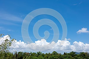 Textured of cloud on blue sky above forest