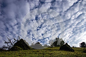 Textured clouds over grassland