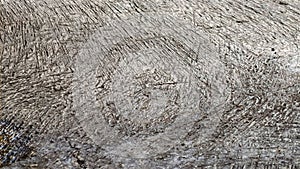 Textured Concrete Surface