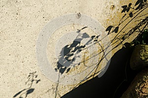 Textured concrete wall, with drill holes and shadows of leaves