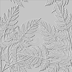 Textured 3d fern leaves seamless pattern. Embossed ornamental floral background. Repeat emboss white vector backdrop. Relief