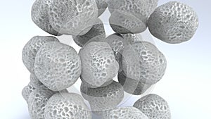 Textured dry skin cells.