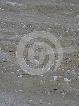 Textured flat section of ivory style material