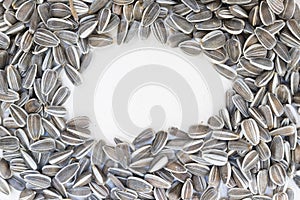 Textured frame sunflower seeds