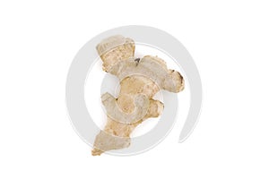 Textured ginger root isolated on white studio background