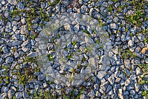 Textured gravel surface. Green grass breaks through between stones.