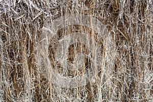 Textured gray hemp fiber for production photo
