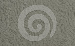 A textured Gray leather background for designers