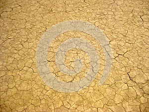 Textured Ground, Mud Cracks at Racetrack Playa, Death Valley