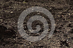 Textured ground surface as background. Fertile soil for farming and gardening