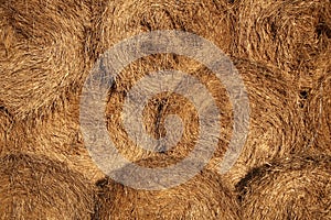 Textured hay bales