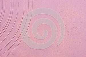 Textured light pink background with circles