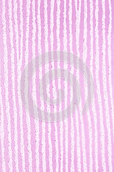 Textured Lines on a Coloured Background for Backdrop