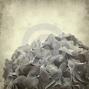 Textured old paper background