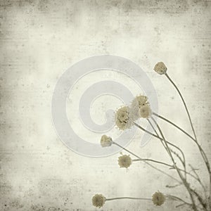 Textured old paper background