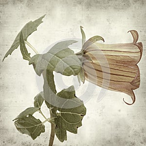 Textured old paper background