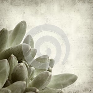 Textured old paper background