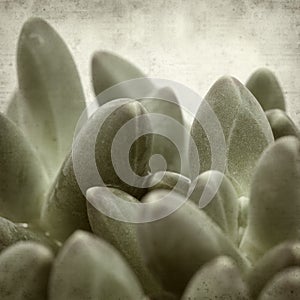 Textured old paper background