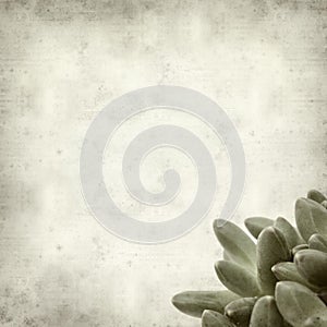 Textured old paper background