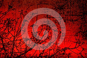Textured old paper background with spring tree young branches against red sunset sky. Things differing strikingly photo