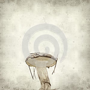 Textured old paper background photo