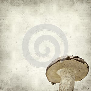 Textured old paper background photo