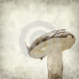Textured old paper background photo