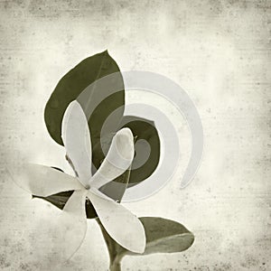 Textured old paper background