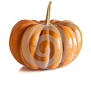 Textured orange pumpkin with a long tail on a white background