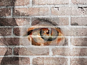 Textured and Painted Eye on Wall