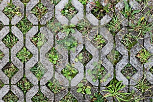 Textured paving slabs for car parking. Top view