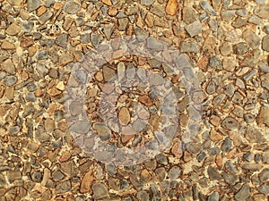 Textured Pebble Stone Surface photo