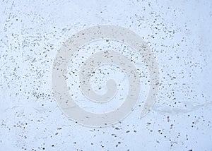 Textured porous surface of the stone as a backdrop