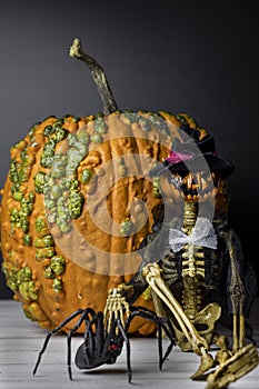 Textured pumpkin and Halloween pumpkin head ghoul with black widow spider