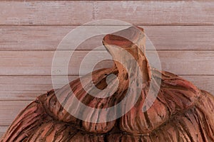 Textured Pumpkin top with stalk on wooden backdrop