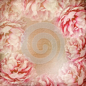 Textured Roses Background ( 1 of set)