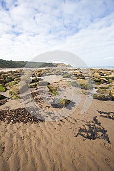 Textured sand, rocks and seawead natural coastal image