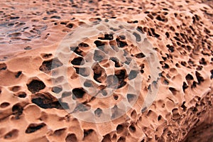 Textured Sandstone in the Utah Desert