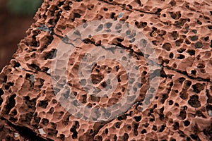 Textured Sandstone in the Utah Desert