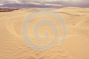 Textured sandy landscape of Sandhills Ecological Reserve