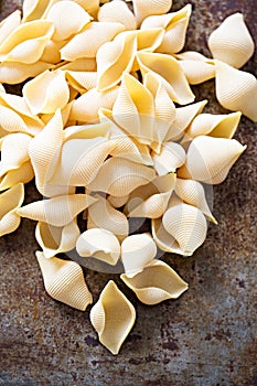 Textured seashell dundrum semolina pasta - Italian bronze die conchiglioni