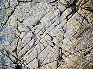 Textured Shale Background