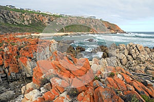 The textured shore line at Pinnacle Point