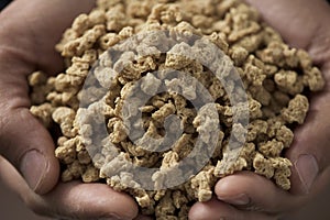 Textured soy protein in the hands of a man