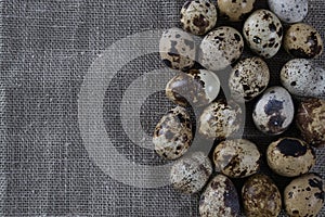Textured spring background with small quail eggs.