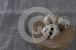 Textured spring background with small quail eggs.