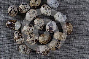 Textured spring background with small quail eggs.