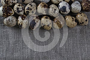 Textured spring background with small quail eggs.
