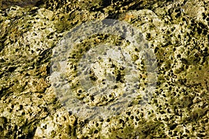 Textured stone sandstone surface
