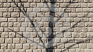 Composition emphasizes freshness and the beauty of nature at